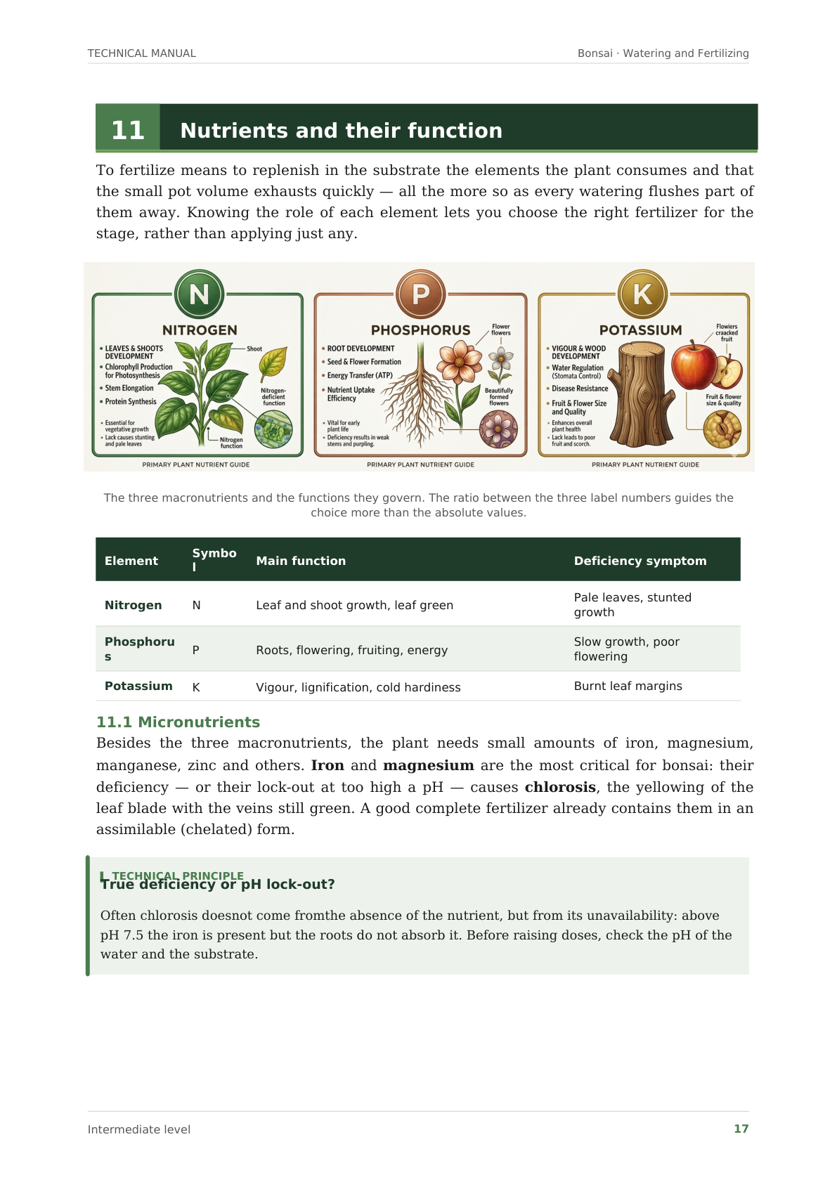 Page explaining nitrogen, phosphorus and potassium